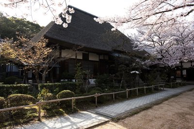 🏯 보타락산 엔츠지(補陀洛山 円通寺)
